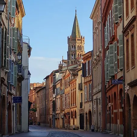 Daire Center Unique Exceptional View Toulouse
